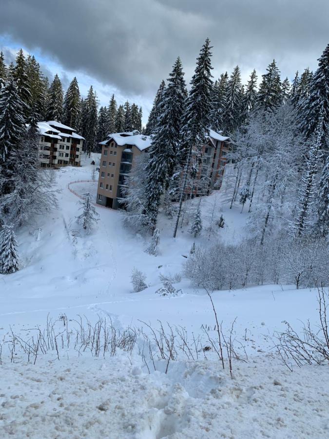 Evrika Home 4 Pamporovo Exterior photo